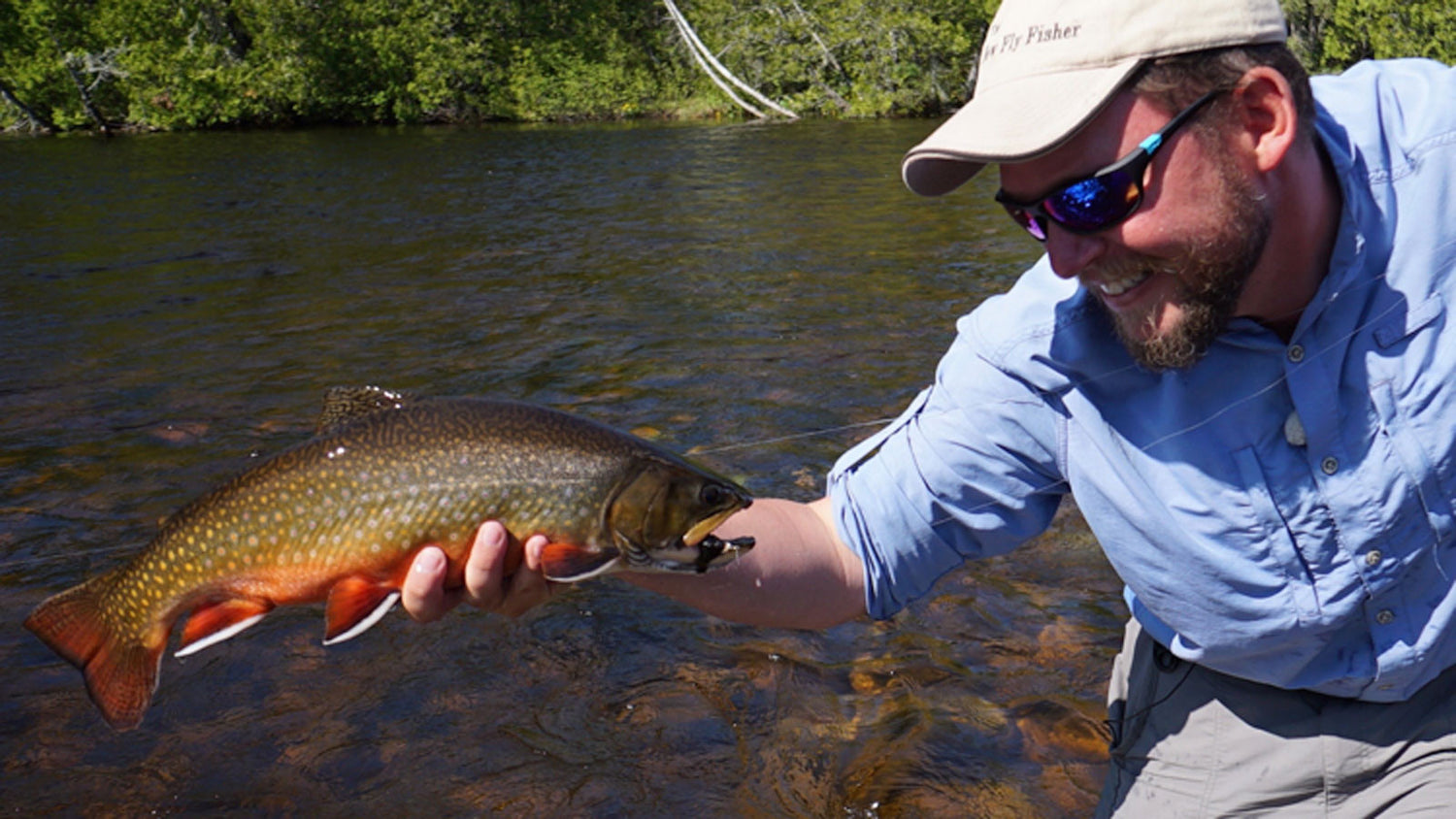 Dry Fly Brook Trout